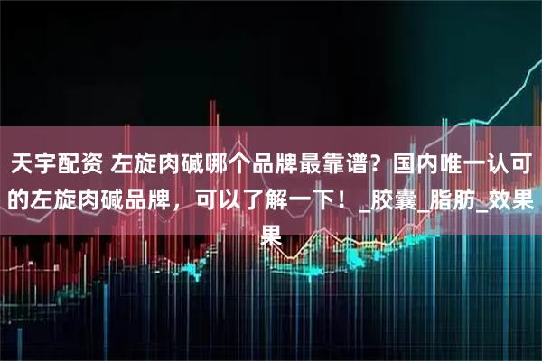 天宇配资 左旋肉碱哪个品牌最靠谱？国内唯一认可的左旋肉碱品牌，可以了解一下！_胶囊_脂肪_效果
