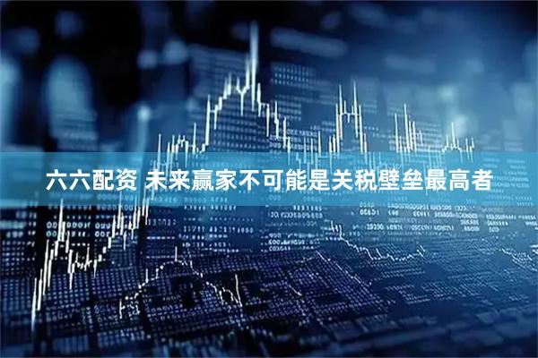 六六配资 未来赢家不可能是关税壁垒最高者